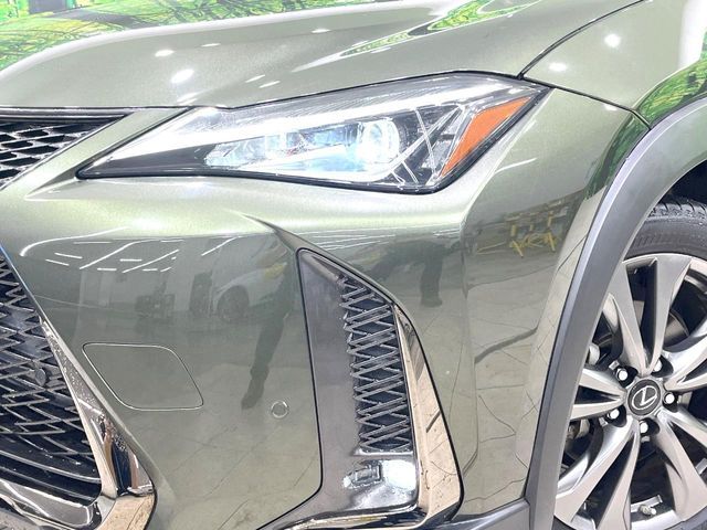 LEXUS UX250h