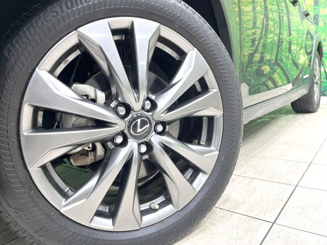 LEXUS UX250h