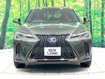 LEXUS UX250h