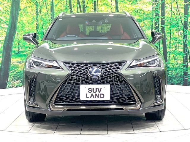 LEXUS UX250h