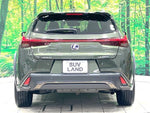 LEXUS UX250h