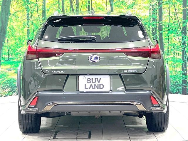 LEXUS UX250h