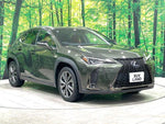 LEXUS UX250h