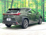 LEXUS UX250h