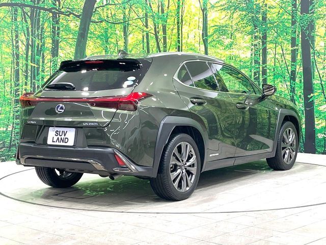 LEXUS UX250h
