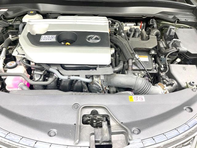 LEXUS UX250h