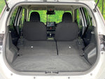 RAIZE HYBRID
