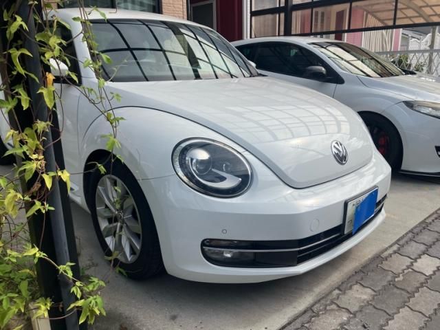 VOLKSWAGEN The BEETLE