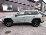 RAV4 4WD