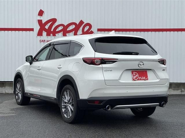 CX-8