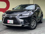 LEXUS NX300h