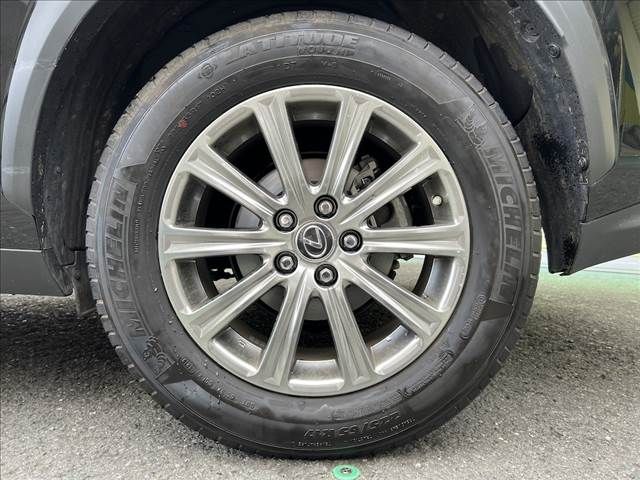 LEXUS NX300h