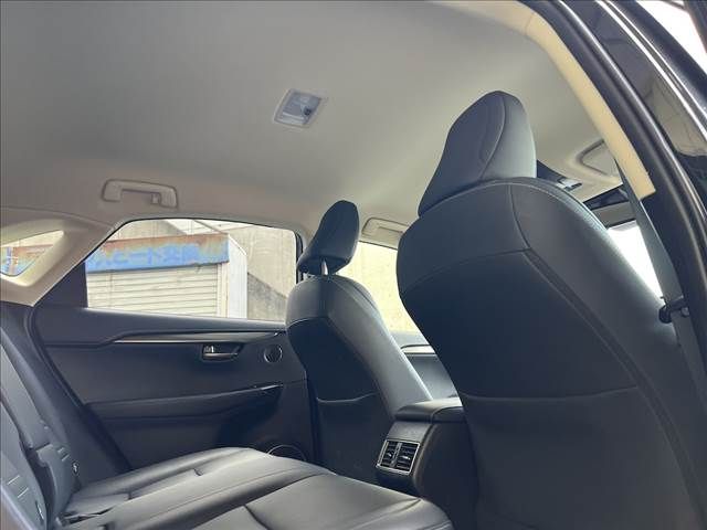 LEXUS NX300h