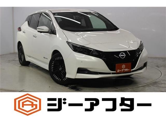 LEAF