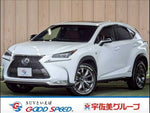 LEXUS NX300h AWD