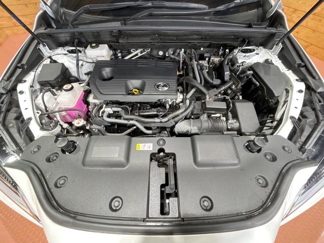LEXUS NX350h