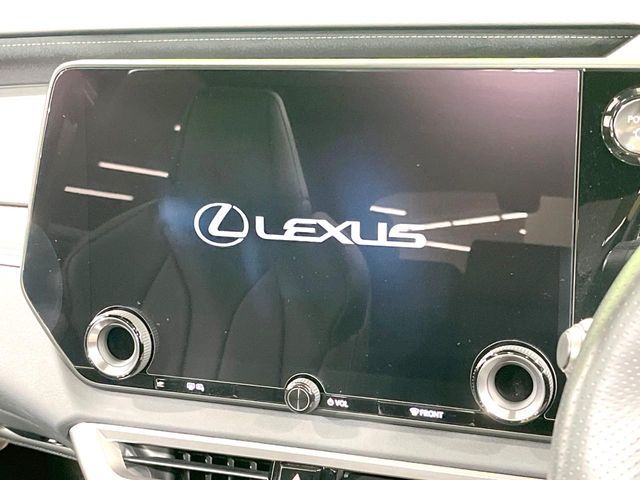 LEXUS RX500h