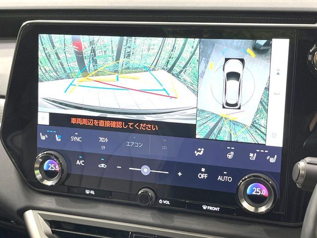 LEXUS RX500h