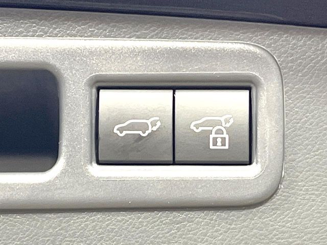 LEXUS RX500h