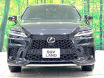LEXUS RX500h