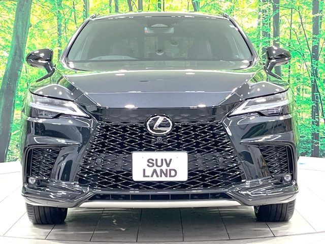 LEXUS RX500h