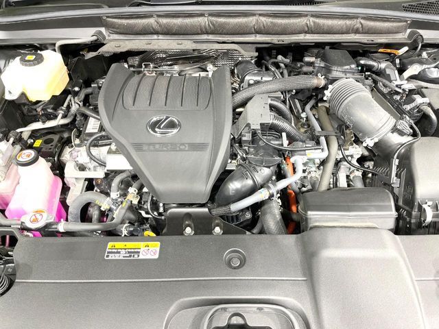 LEXUS RX500h