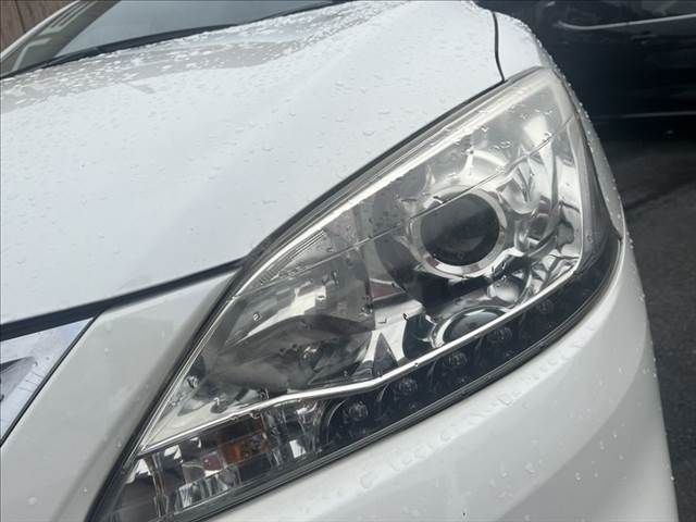 Sylphy
