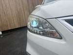 Sylphy