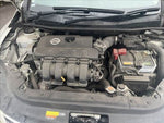 Sylphy