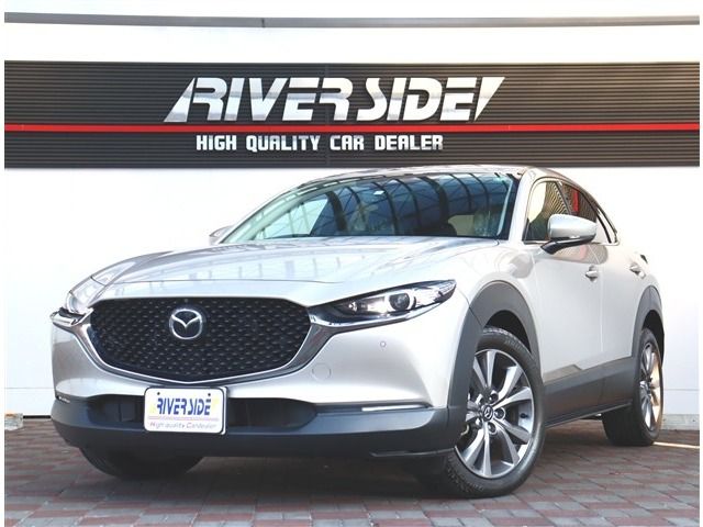 CX-30
