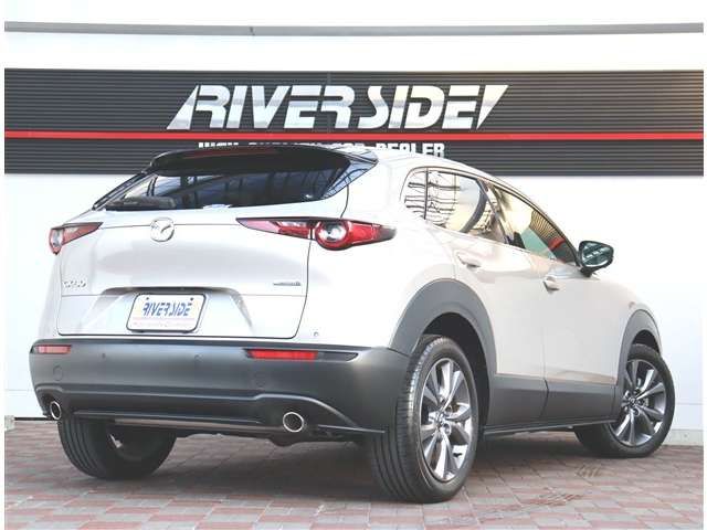 CX-30