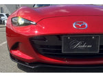 ROADSTER