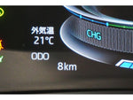 RAIZE HYBRID