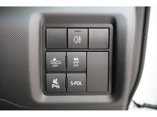 RAIZE HYBRID