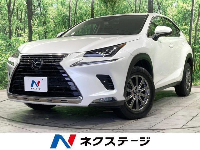 LEXUS NX300