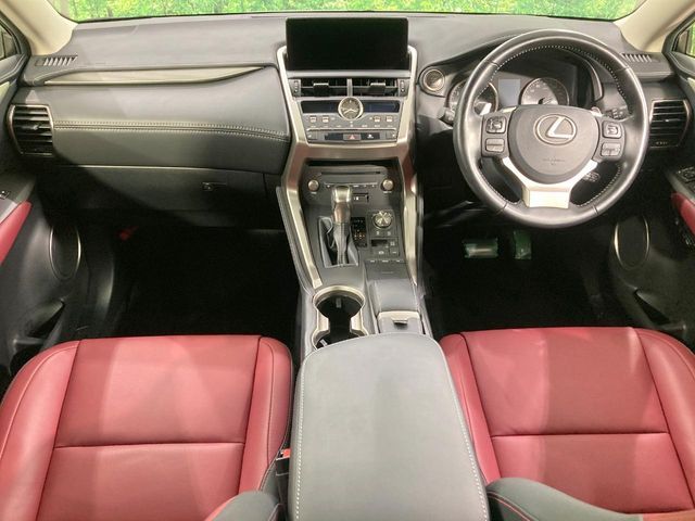 LEXUS NX300