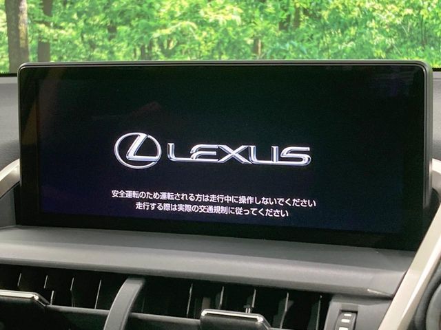 LEXUS NX300