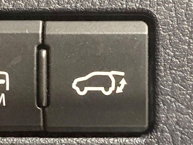 LEXUS NX300