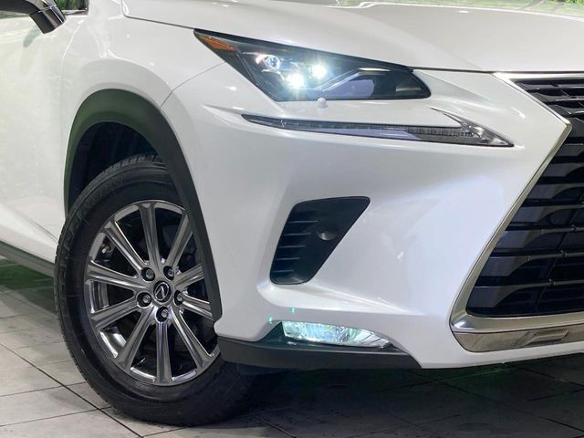 LEXUS NX300