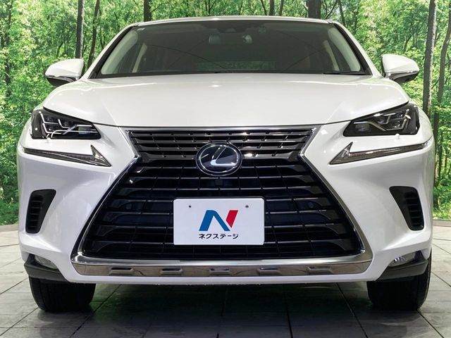 LEXUS NX300