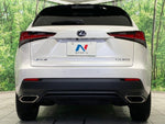 LEXUS NX300
