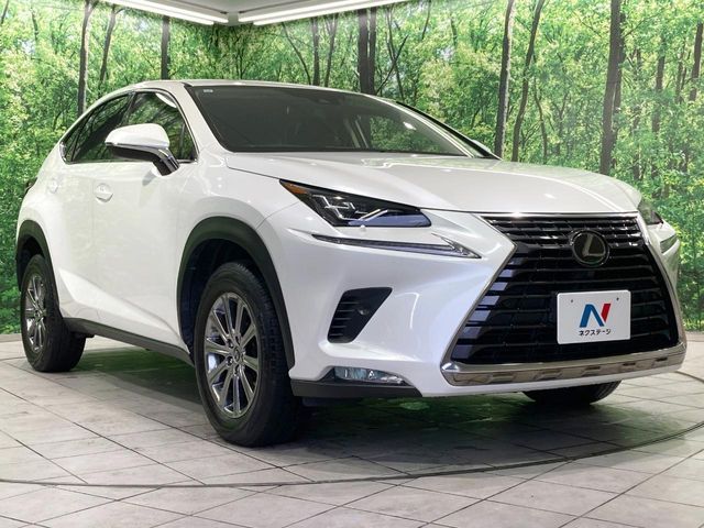 LEXUS NX300