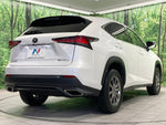 LEXUS NX300