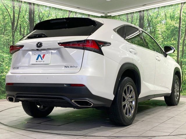 LEXUS NX300