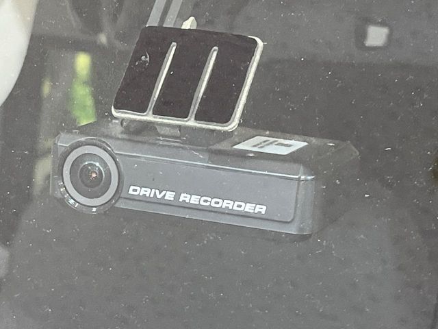 DAYZ ROOX