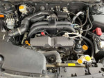 LEGACY OUTBACK