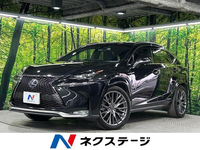 LEXUS NX300h AWD