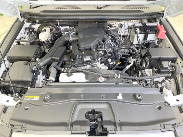 LANDCRUISER 250
