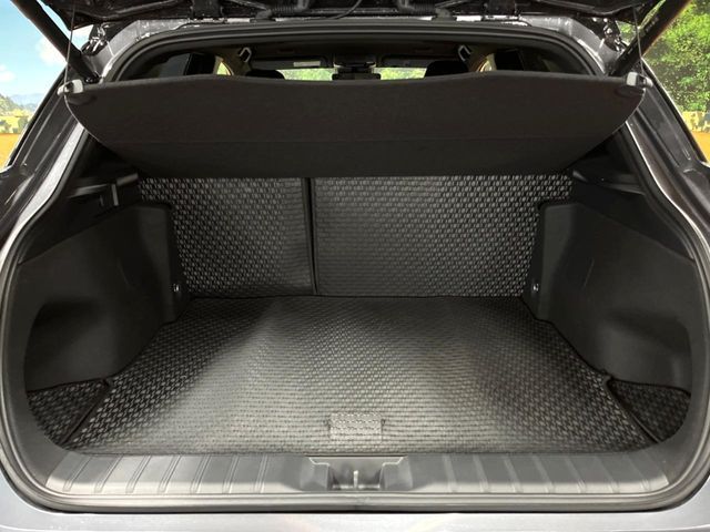 LEXUS LBX
