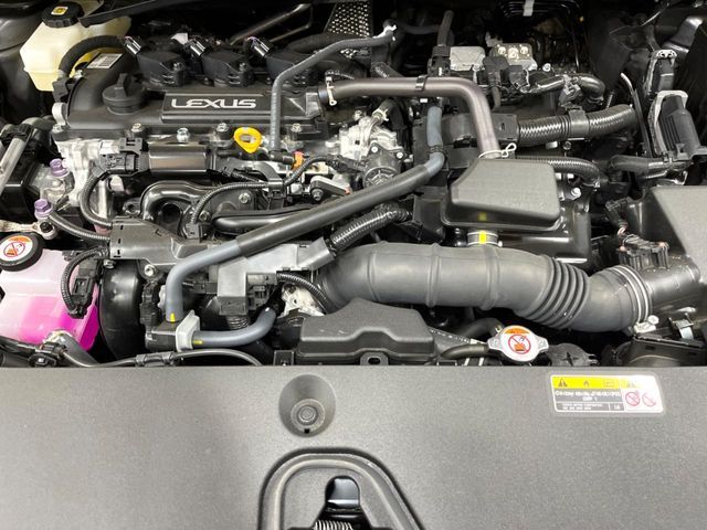 LEXUS LBX